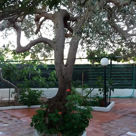 Il Giardino Di Zeus