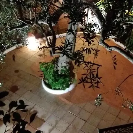 Il Giardino Di Zeus *