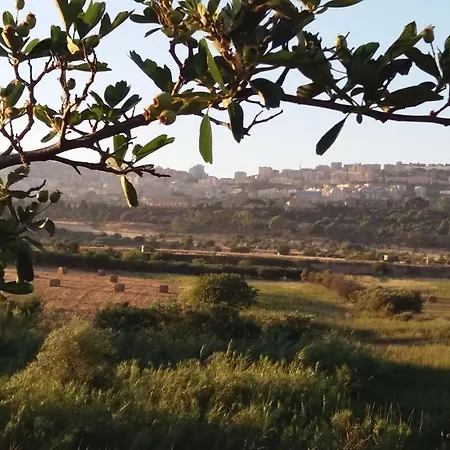 Il Giardino Di Zeus