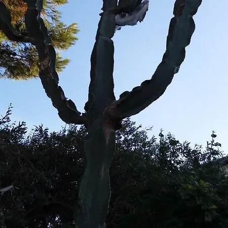 Il Giardino Di Zeus Apartment *