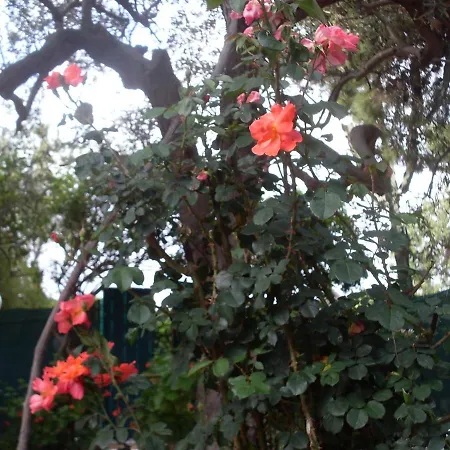 Il Giardino Di Zeus Apartment